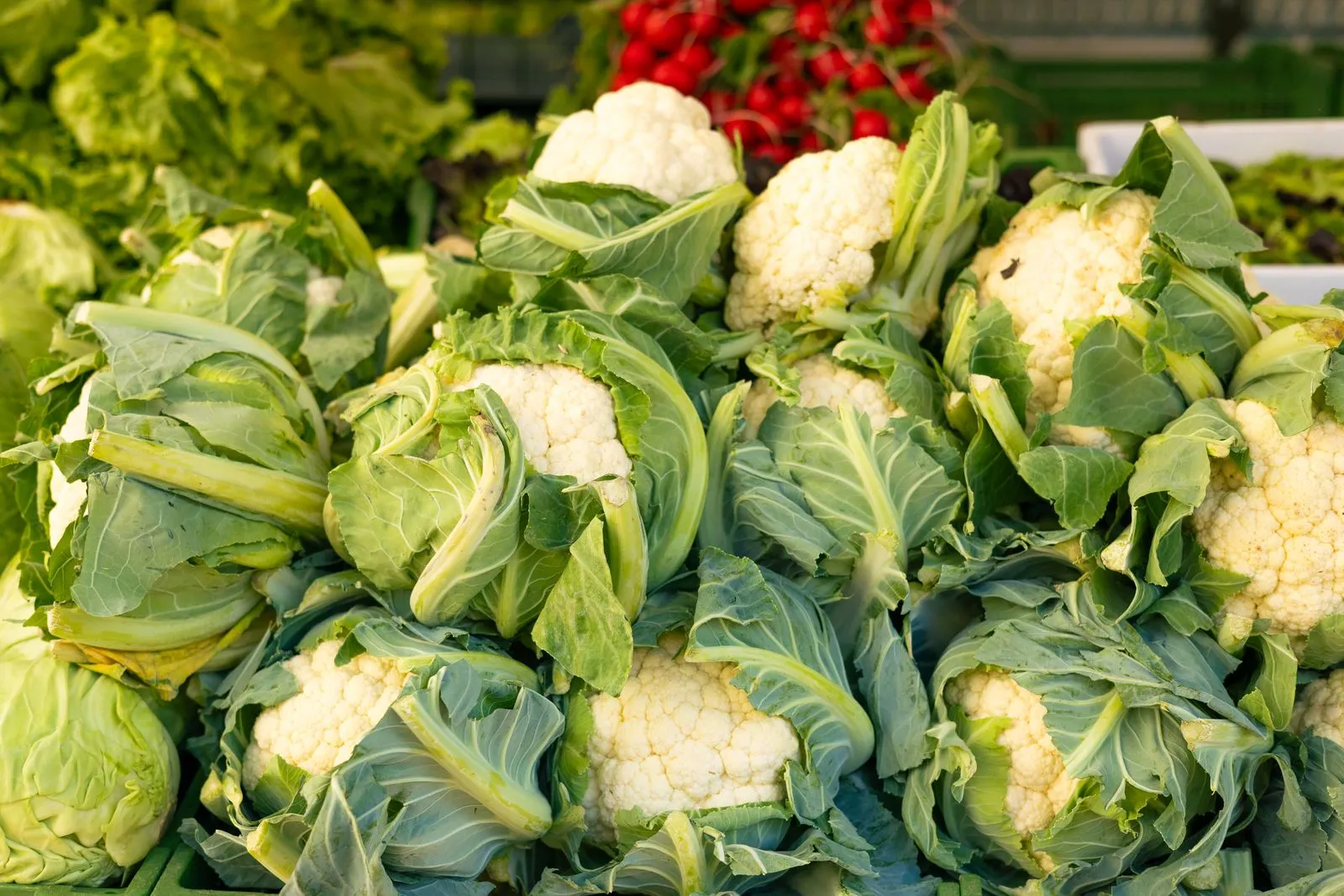 What to Buy at an Organic Refill Grocery
